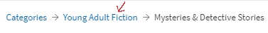 heading on top of page that says Category -- Young Adult Fiction -- Mysteries and Detective Stories